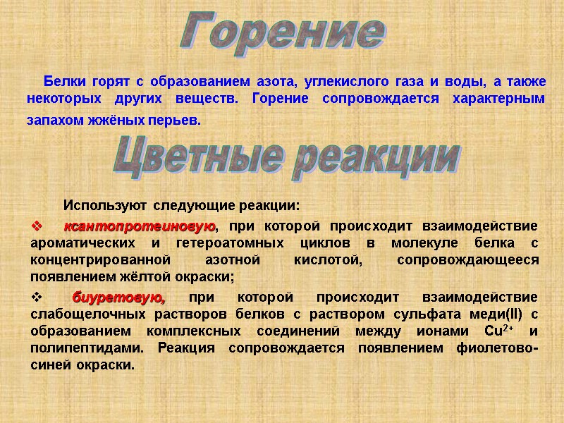 Белки горят с образованием азота, углекислого газа и воды, а также некоторых других веществ.